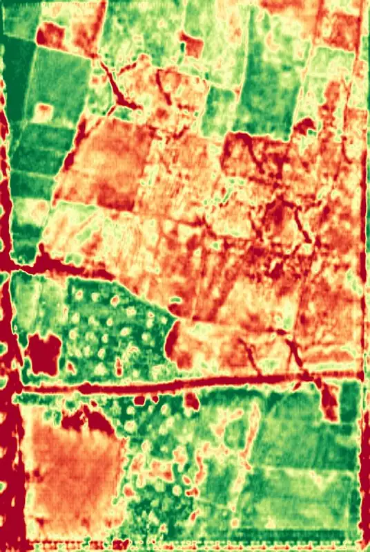 Vegetation stress map of a fragmented field after non-crop exclusions were applied